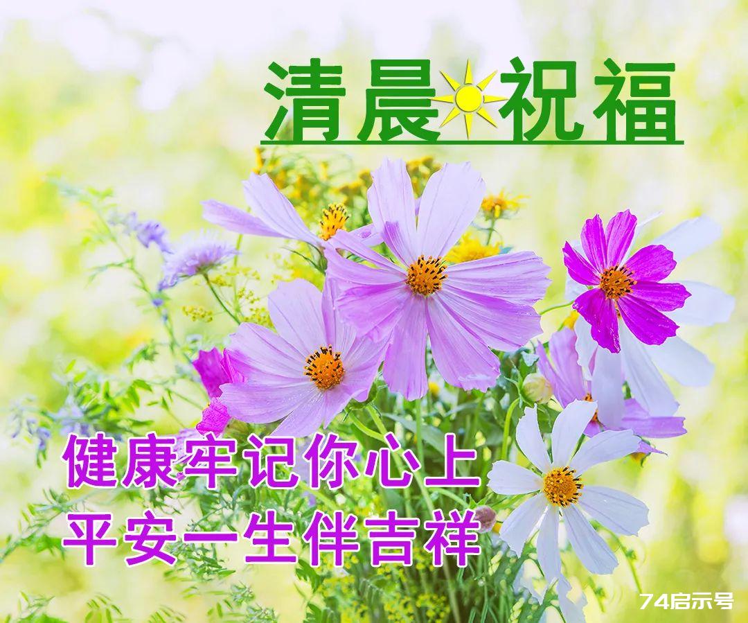 11月12日 每日祝福