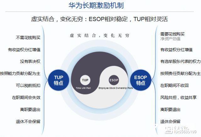 华为是如何应对“第91天危机”