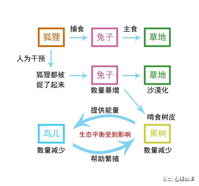 网，让知识系统化，走出学习的第三步