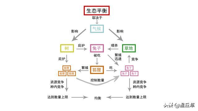 网，让知识系统化，走出学习的第三步