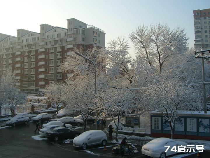 北京春天的雪