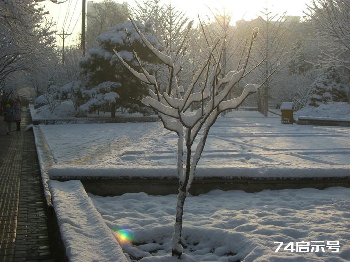 北京春天的雪