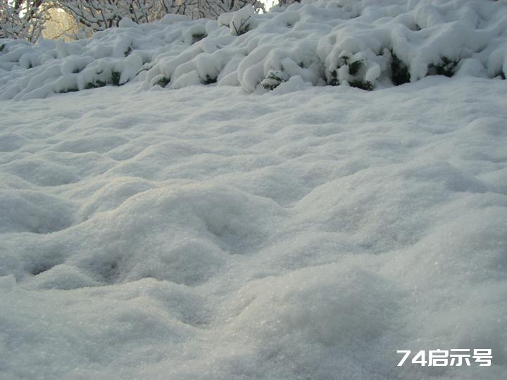 北京春天的雪