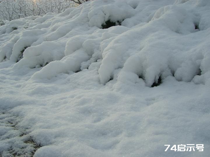 北京春天的雪