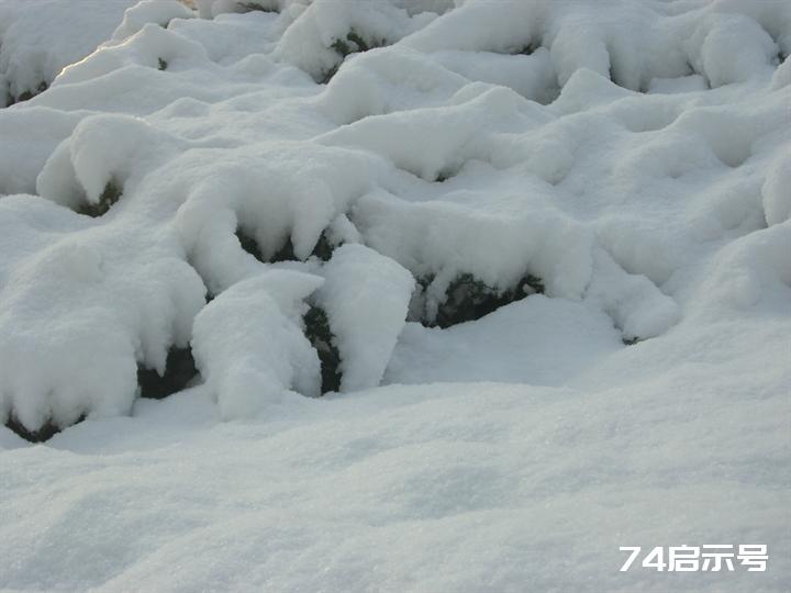 北京春天的雪