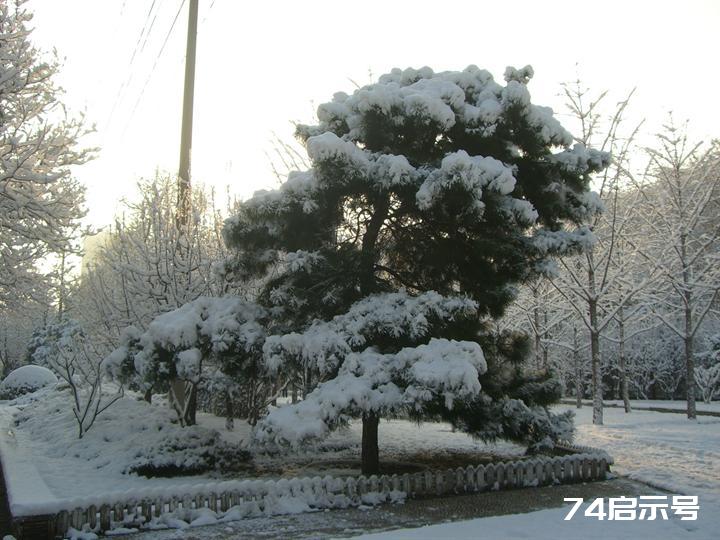 北京春天的雪