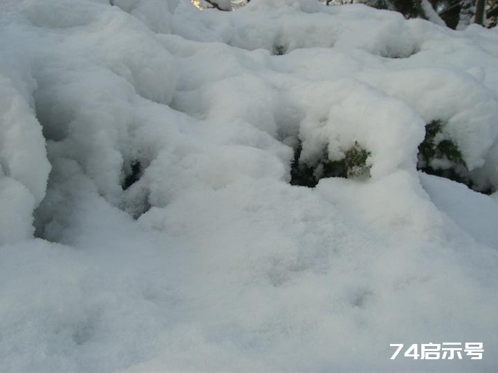 北京春天的雪