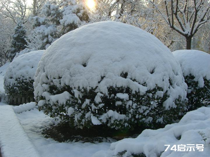 北京春天的雪