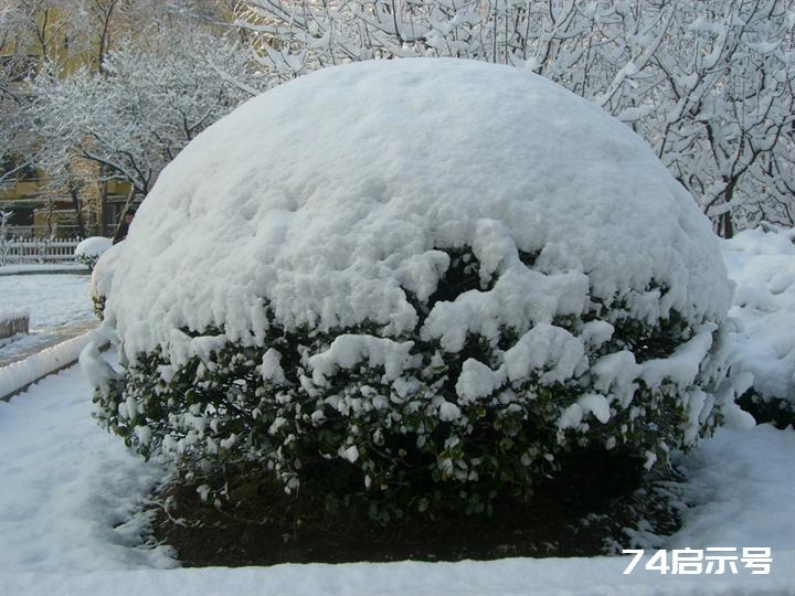 北京春天的雪