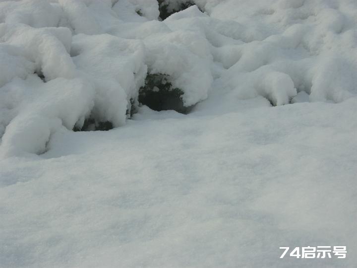 北京春天的雪