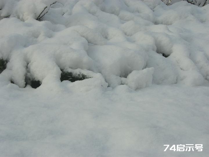 北京春天的雪