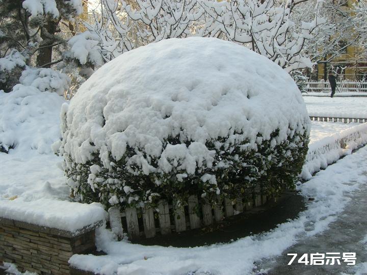 北京春天的雪