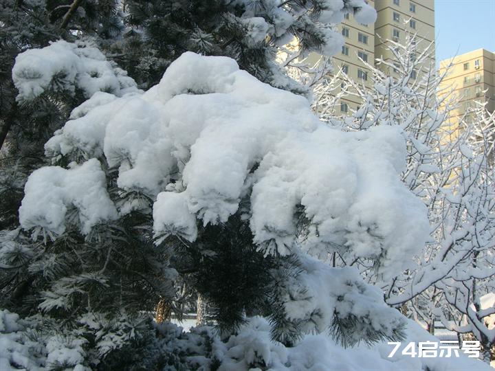 北京春天的雪