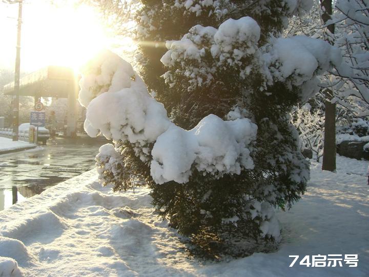 北京春天的雪