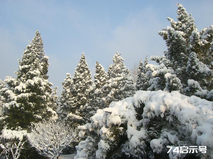 北京春天的雪