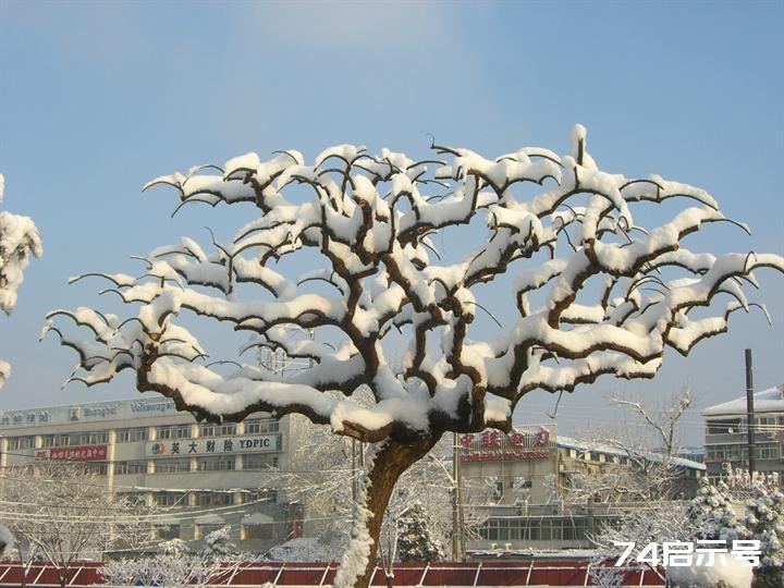 北京春天的雪