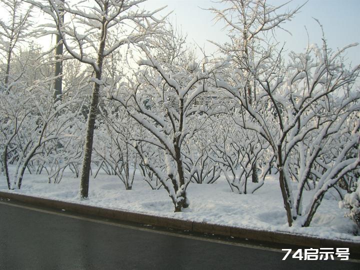 北京春天的雪