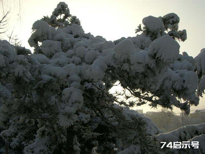 北京春天的雪