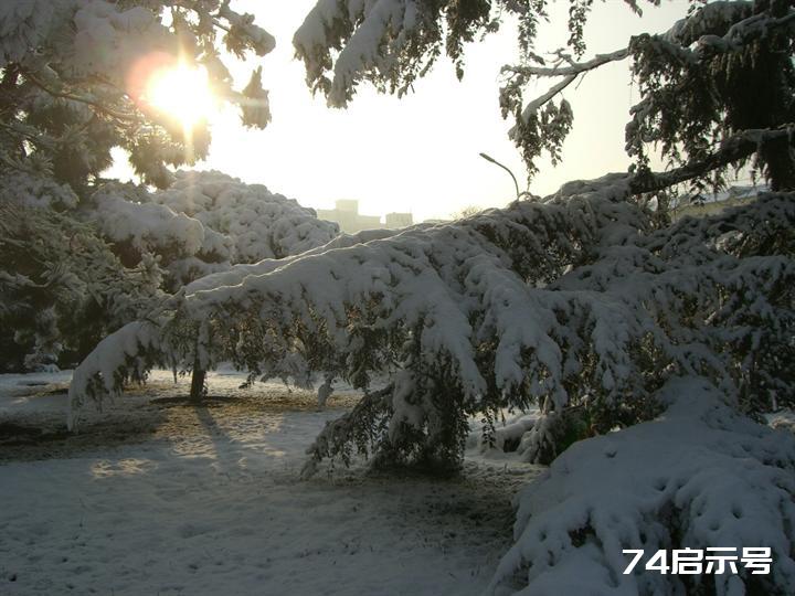 北京春天的雪