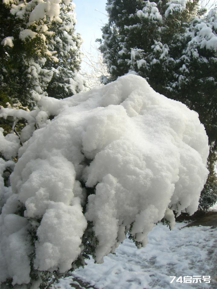 北京春天的雪