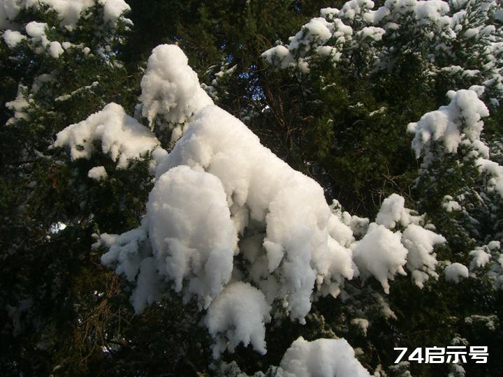 北京春天的雪