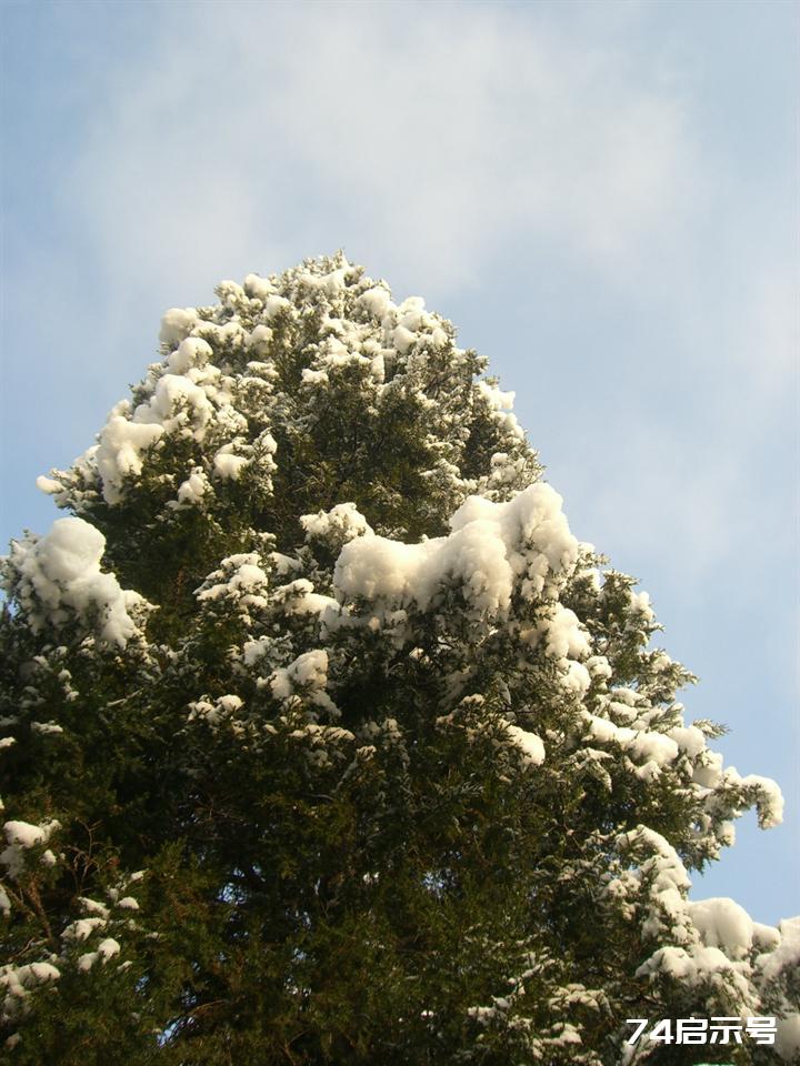 北京春天的雪