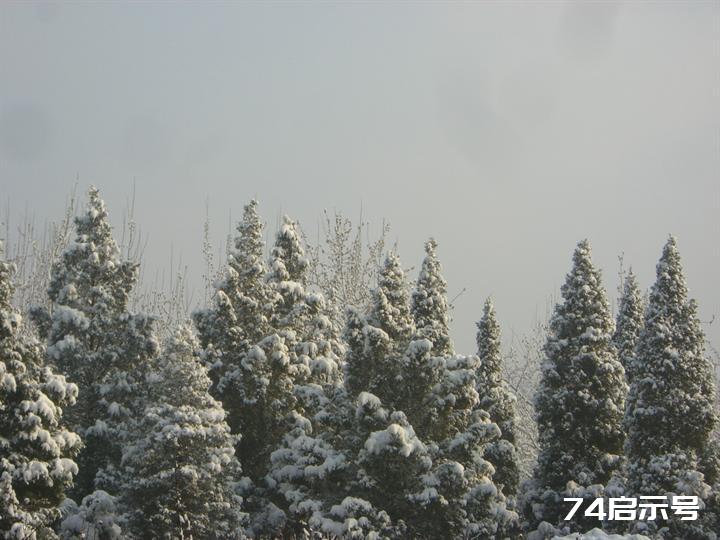 北京春天的雪