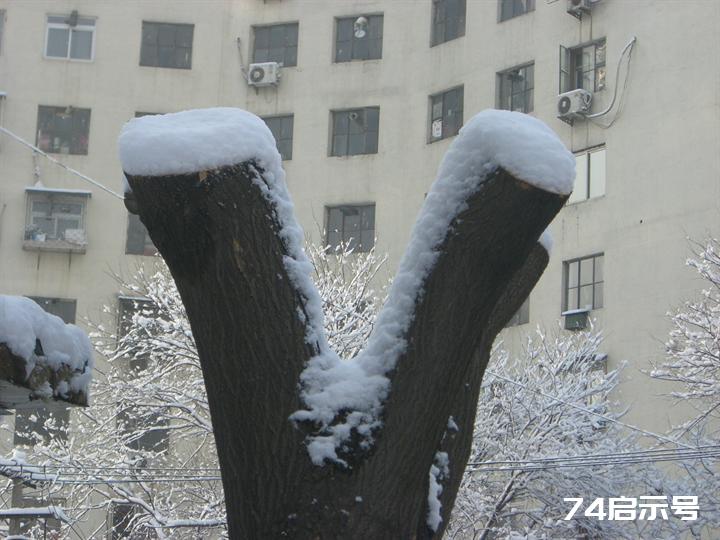 北京春天的雪