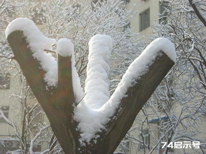 北京春天的雪