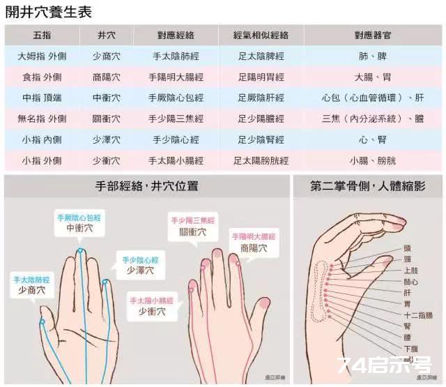 保养五脏六腑！手掌穴位一次搞定（附详细图解）