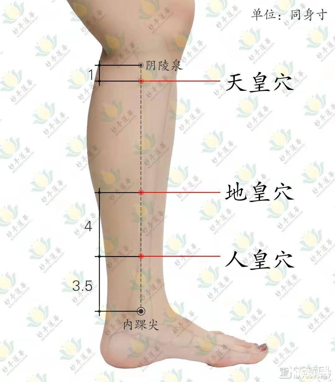 中医降糖穴：不花钱的“控糖术”