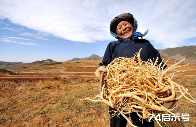 聊一张验方，疏肝理气、健脾升阳，让这个冬天没有耳鸣与失眠