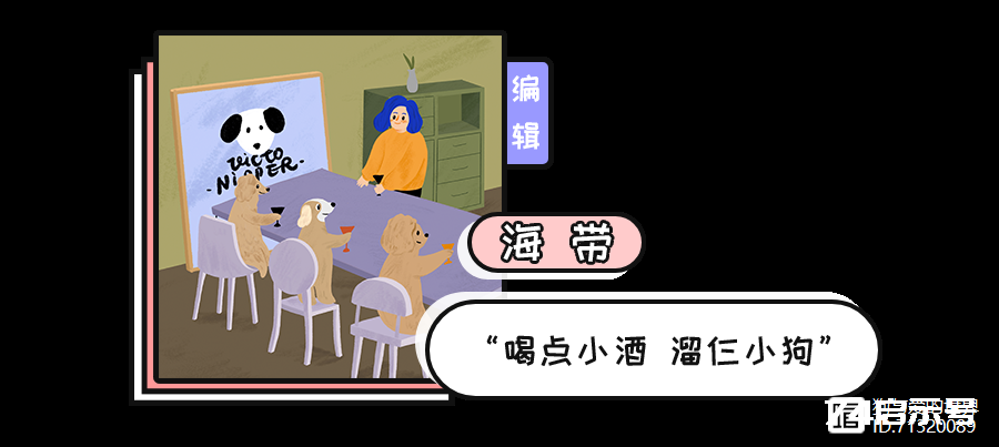 河南忠犬八公！主人去世后，狗狗徒步60公里，只为一扇再也打不开的门…