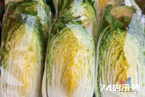 “百菜不如白菜”？长了“黑点”的白菜还能吃吗？