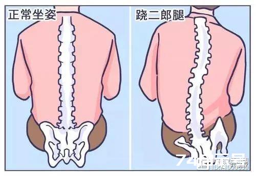 腰背肌与脊柱——身体里的“金刚川”战场