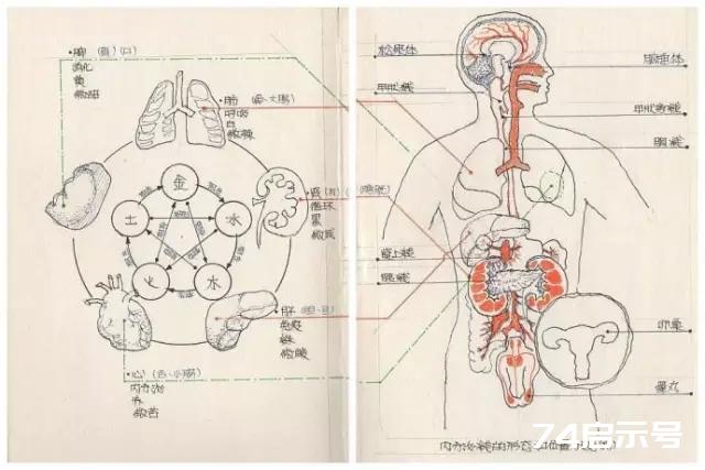 『五行学说』在中医防治疾病上的运用