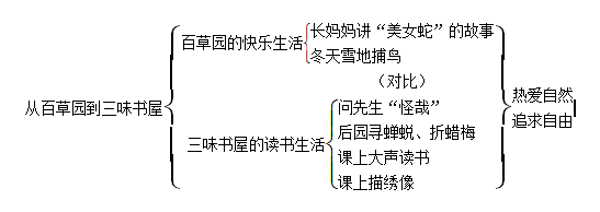 七年级上册语文9课《从百草园到三味书屋》预习 教案 课件