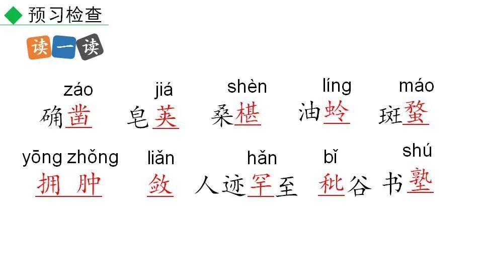 七年级上册语文9课《从百草园到三味书屋》预习 教案 课件