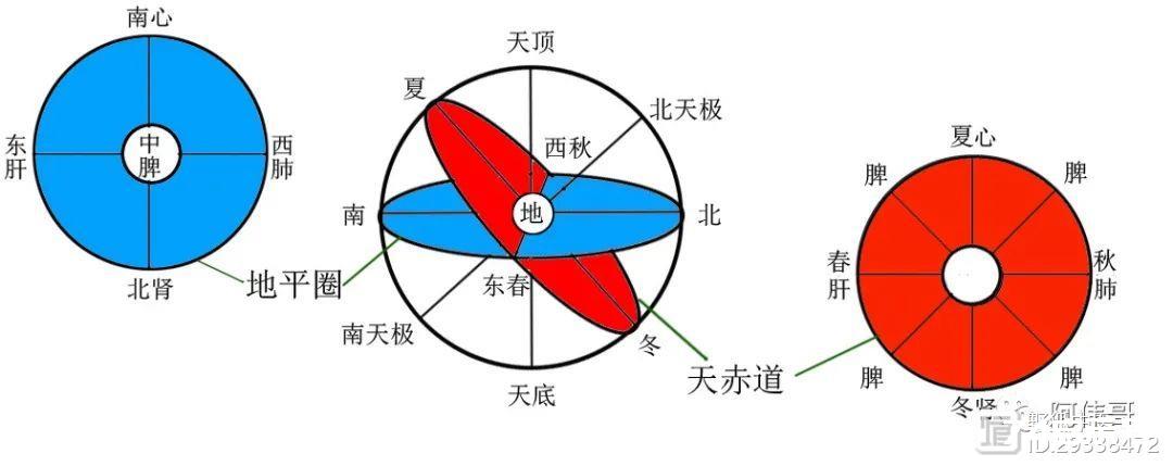 品味医道之十三：你真的理解“五行”吗？