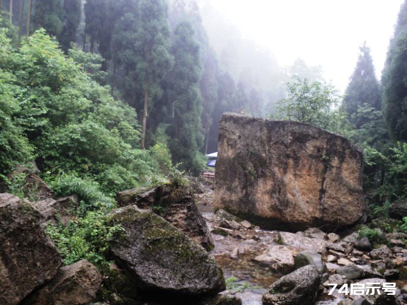 不在白云寺上走 枉到青城后山游