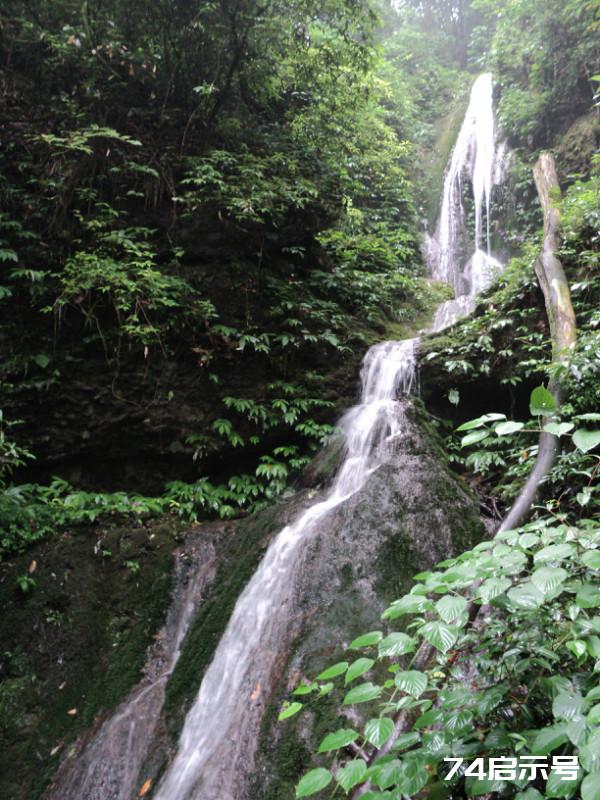 不在白云寺上走 枉到青城后山游