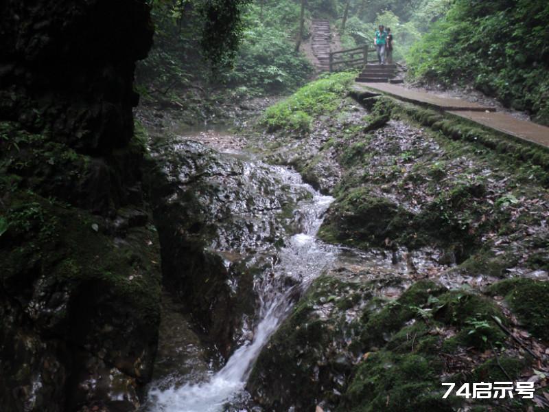 不在白云寺上走 枉到青城后山游