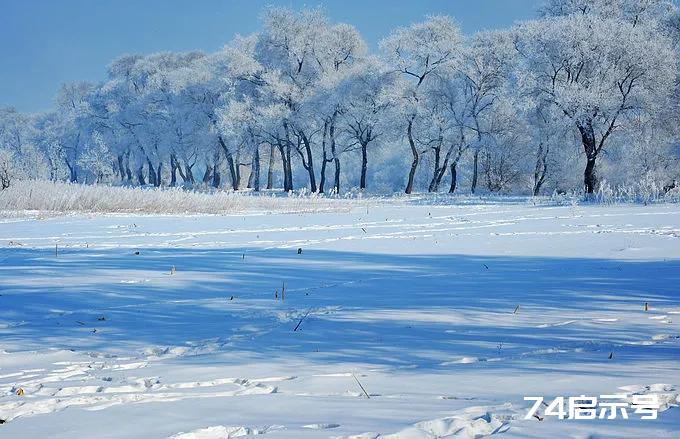 一场冬雪，送走了诗与远方的秋季，迎来了静美的初冬