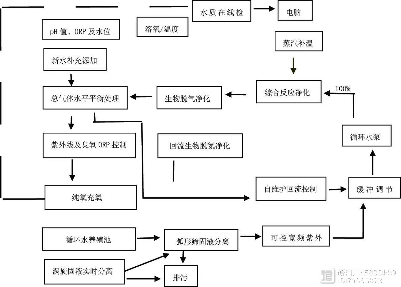 珍珠龙胆工厂化循环水养殖，效果显著