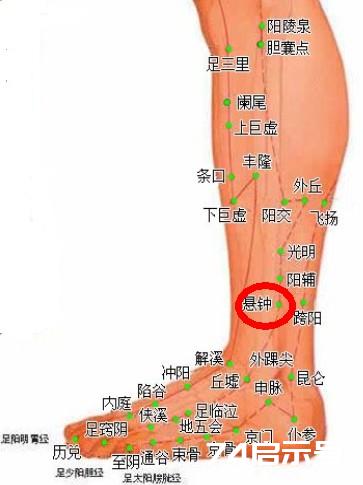 用落枕穴治疗落枕（悬钟穴、后溪穴、束骨穴、承山穴）