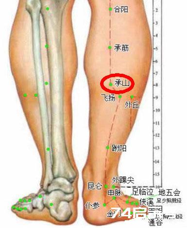 用落枕穴治疗落枕（悬钟穴、后溪穴、束骨穴、承山穴）