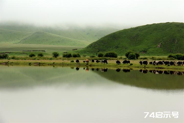 美丽风光1——红原