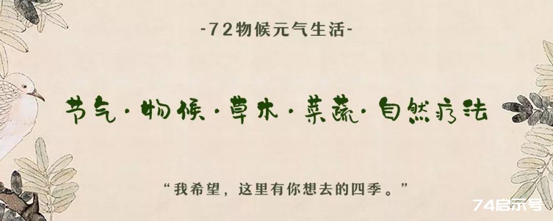 深冬藏精季，要吃点萝卜了：深度消积&化火浊。