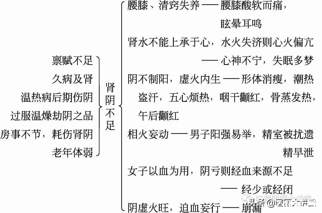 肾与膀胱辨证要点速记及歌诀肾与膀胱的生理...