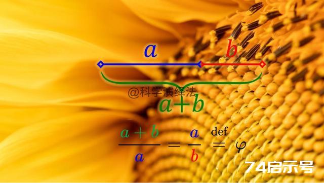 当美与数学相遇时——欣赏我们身边的12个迷人之数(第二部分)